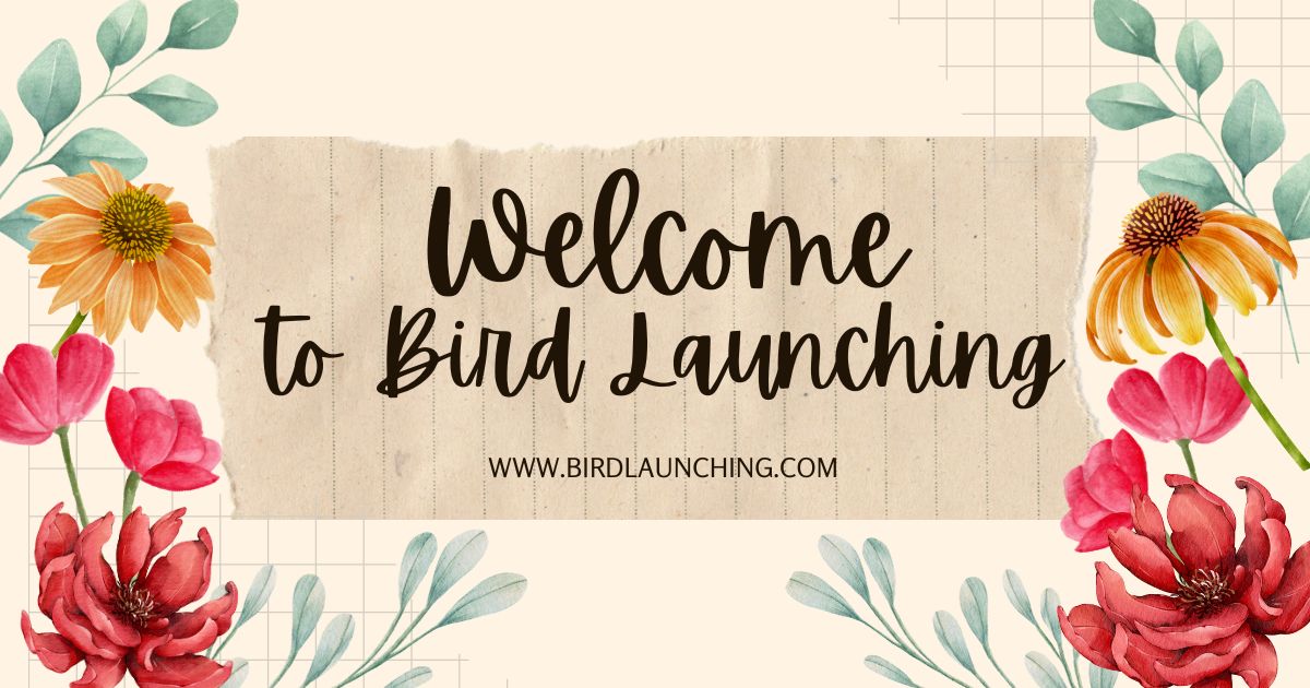 Empty Nest Support: Welcome to Bird Launching